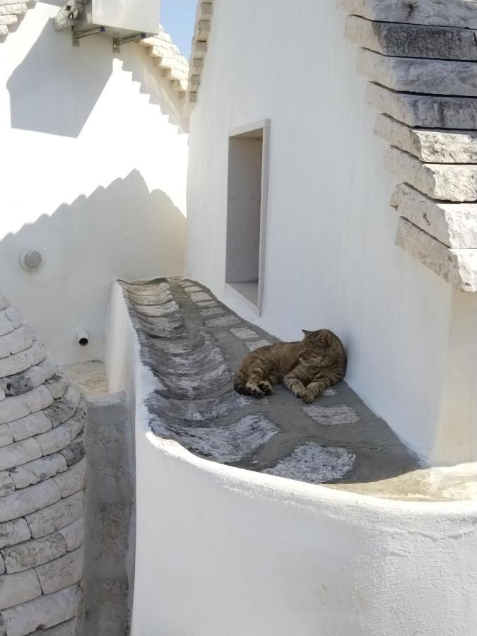 Masseria Catucci Agriturismo Альберобелло Экстерьер фото