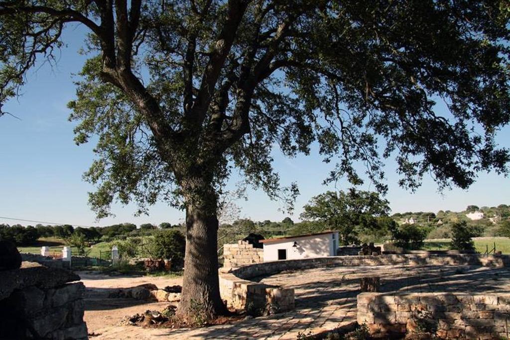 Masseria Catucci Agriturismo Альберобелло Экстерьер фото
